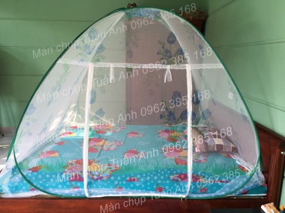 Màn chụp đỉnh chóp
